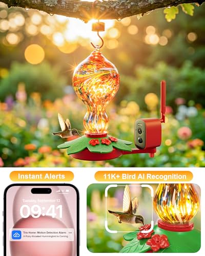 Hummingbird Feeder with Camera – 2.5K 5MP Solar-Powered Glass Bottle Smart Humming Bird Feeder with AI Recognition, Upgraded Leak-Proof & Ant Moat, Instant Alerts, Works with Alexa & Google Assistant