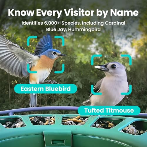 2 Smart Bird Feeder with Camera, AI Identifies Bird Species, Dual-Lens 2K Camera for Live Streaming & Close-Up Photos, Solar-Powered Backyard Birdwatching Gift