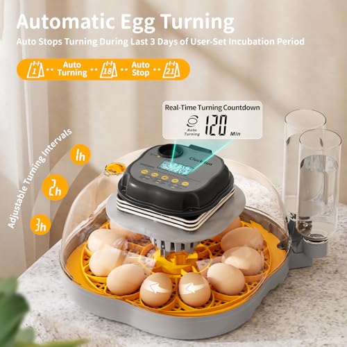 Egg Incubators for Hatching Eggs, 12 Chicken or 30 Quail Eggs Incubator | Dual Egg Trays, Auto Egg Turning, Auto Water Refill, Incubation Timer, 360° Clear View Window & Built-in Egg Candler - color: Yellow, size: 12 Eggs