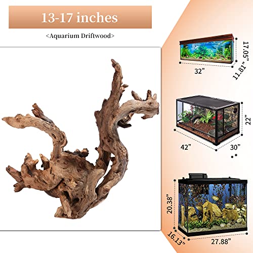 Natural Large Driftwood for Aquarium Decor Fish Tank Decor Reptile Decor | Assorted Driftwood Branch, Natural Driftwood for Aquascaping and Reptile Decor - size: Mopani Driftwood 13 to 17 Inch (Pack of 1)