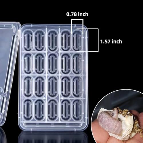 20 Grids Reptile Breeding Box, Reptile Egg Incubator Plastic Reptile Egg Incubator Tray Amphibians Hatchery Box Case for Hatching Gecko Lizards Lions Mane Without Thermometer