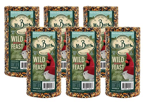 Mr. Bird WildBird Feast Cylinder, 6-Pack, 1 lb 15 oz | Wild Bird Seed for Outside Feeders | Premium Blend of Pecans, Sunflower Hearts & Millet | No Mess, No Melt - size: 1.75 Pound (Pack of 6)
