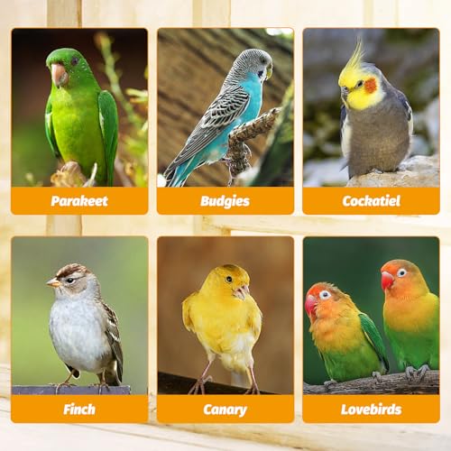 BNOSDM No Mess Bird Feeder Transparent Automatic Bird Cage Feeder with Perch Acrylic Parrot Food Container Parakeet Cage Accessories for Parakeets, Budgies, Cockatiel, Finch, Canary, Lovebird (White) - color: White