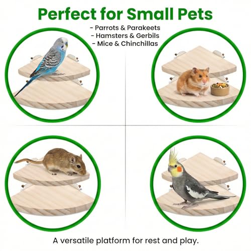 2 Pcs Flat Perches for Bird Cages Flat Bird Perch Platform Birds Perch Birds Cages Accessories Fan Shape for Parakeet Conure Cockatiel Budgie Rat Chinchilla Gerbil Hamster (2 Size)