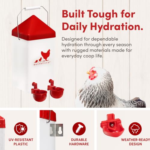RentACoop 1 Gallon Chicken Waterer with Cups & Nipples
