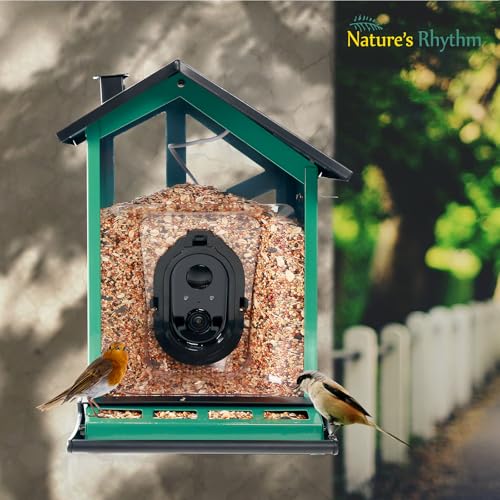 Bird Feeder Squirrel-Proof Bird Feeder with Camera Watch the Birds Feed