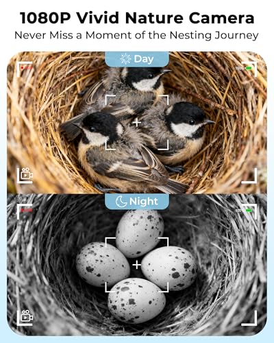 Bluebird House with Camera,Bird House with Camera Solar Powered | Motion Detect & Night Vision,App Control,Wi-Fi Bird Watching for Backyard Nesting,Camera Bird House,Smart Bird House,Blue - color: Light Blue