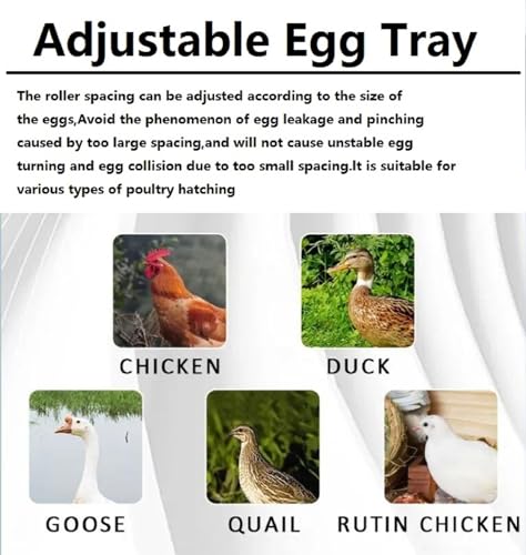 Automatic Incubator for Hatching Eggs, Upgrade Automatic Water Adding, Chicken Incubator with Temperature and Humidity Control Chicken Egg lamp for Hatching Chicken Duck Quail Eggs, 192 Eggs - color: 192 eggs