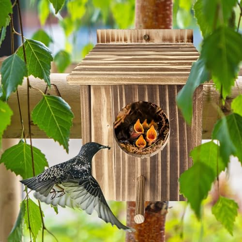 TIANCENTRAL H Wooden Bird House Outdoor Hanging Garden Decor for Wild Birds | Weatherproof Natural Wood, Tool-Free Assembly, Hanging Birdhouse, Attracts Wild Birds, Patio Lawn Decor, Gift for Bird Lovers