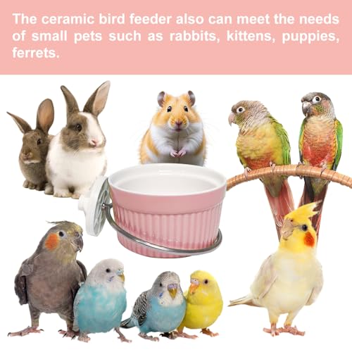 Bird Cage Feeder Parrot Food Cage Bowl Clamp Holder Coop Cup, Ceramic Bird Cage Water Bowl, Pet Feeder Cage for Parakeet African Greys Conure Cockatiels Lovebird Budgie Chinchilla-Pink - color: pink