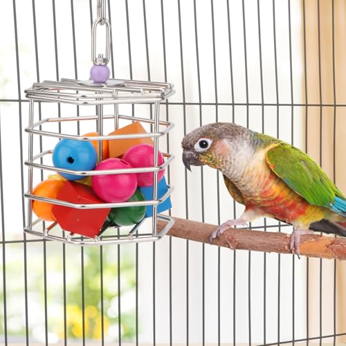 Hypeety Bird Foraging Toys Stainless Steel Foraging Basket Millet Holder for Bird Cage Unique Hanging Feeder for Macaws Cockatoos African Grey Cockatiel Conures Amazon Parrot(Feeder+Blocks) - size: Feeder+Blocks