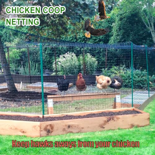 50x100 Bird Netting for Garden Protection - 1" Mesh Netting to Cover Chicken Coops and Garden Hoops, Large Bird Net to Protect Chickens, Blueberry Bush, Fruit Trees, Plants from Hawks, Deer - size: 1", 50' x 100'