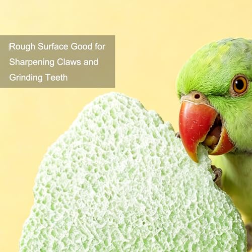 2pcs Resin Parrot Perch Stand Toy, Anti-Slip Bird Beak Grinding Stone for Cage, Washable Claw Trimmer Care Stand for Budgie, Conures, Parakeets Cage Accessories