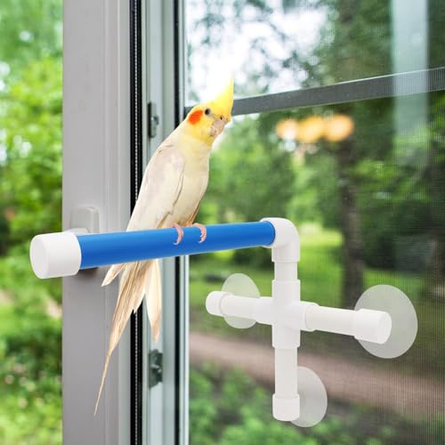 Hypeety Portable Suction Cup Bird Window and Shower Perch Toy Parrot Stand | 3 strong suction cups, parrot bath perch, easy to install, fits windows/shower tile, for budgies/parakeets/lovebirds, blue