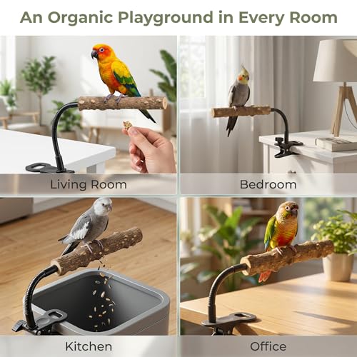 Natural Wood Parrot Perch, Adjustable Clip-On Bird Stand, Flexible Gooseneck Sticks for Conures Cockatiels Lovebirds, Pet Cage Accessories
