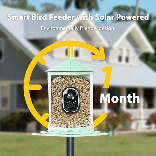 Smart Bird Feeder with Camera Solar, Auto Capture Bird Videos & Motion Detection, Birds Watching Camera Notify in Time, Metal Birds Feeder with Seed Guard, Ideal Present for Mom (Green) - color: Mint Green