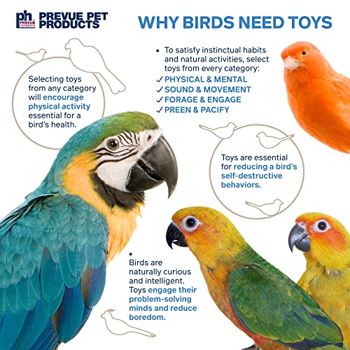 Prevue Pet Products Sound & Movement Mr. Mustache Bird Toy 62614 | Accessories for Parakeets, Conures, Cockatiels, Finches, and Small to Medium Birds