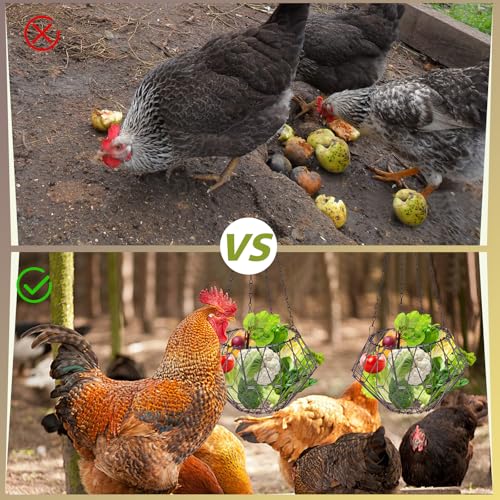 Hanging Chicken Feeder 6.5in, Foldable Poultry Treat Dispenser Ball | Chicken Enrichment Toys With 17in Hanging Chain, Poultry Feeding Equipment Rat Proof for Chicken/ Hens/ Duck/ Rabbits Coop - size: 2 Pack