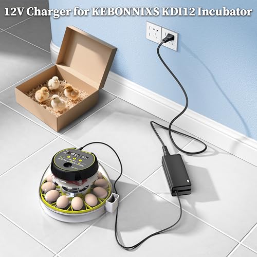 12V Charger for KEBONNIXS KDI-12 KDI12 Egg Incubator Automatic Egg Turner | Adapter for KEBONNIXS KDI-12 KDI12 Incubator Humidity Display Egg Candler for Hatching Chickens BX-1204000 BX1204000