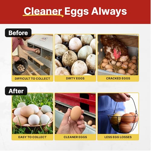 HenGear Nesting Boxes for Chickens, Roll Away Laying Boxes, Nest Box, Small | Nest Box with Rollout Egg Collection, Nesting Pads for Cleaner Eggs, Reversible Accessories, G90 Galvanized, Up to 20 Hens