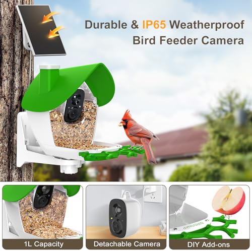 Smart Bird Feeder with Camera Solar Powered 2K HD Live Video with 32GB Card | AI Identifies 10,000+ Bird Species, Instant Alerts, IP65 Waterproof, Easy Setup, Bird Watching Gift for Bird Lovers - color: Light Green