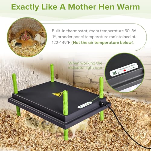 Tetuga Brooder Heat Plate 12 X 16” Chick Heating Plate Warm Up to 40 Chicks | Chicken Heater Plate with Adjustable Height & Angle, Energy-Efficient 30W Chick Warmer Safer Than Brooder Lamp - size: 12x16 Inch