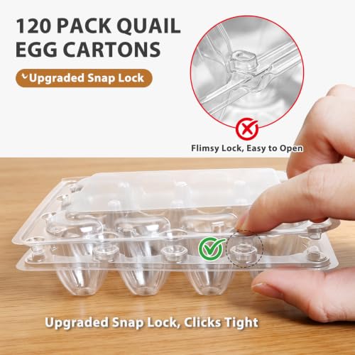 120 Pack Quail Egg Cartons 12 Grid, Heavy Duty Snap Lock Clear Plastic Small Egg Container, Stackable Bulk Tray for Quail Pigeon Button Eggs - Not for Chicken Eggs
