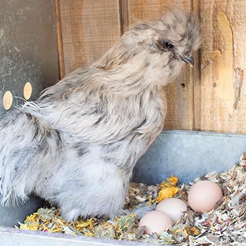 Pampered Chicken Mama Floral Nesting Herbs for Chickens (10 Ounces) | Relaxation Blend for Chick Brooder Box, Chicken Coop Bedding | Scent of Spring - size: 10 ounce