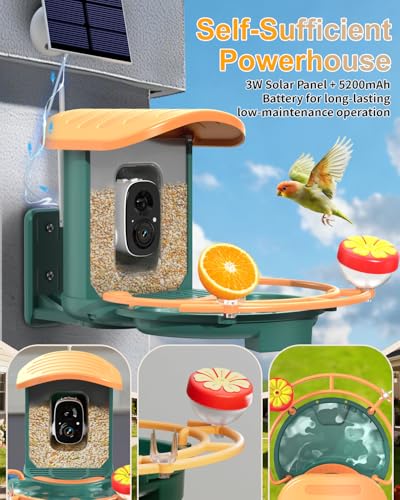 Bird Feeder with Camera, 2K HD Camera Birds Feeder with AI Bird Recognition, Solar Powered Smart Birdfeeder with Bath, App Control, Color Night Vision, Gift Box Package, Easy Install - color: Dark Green, size: Bath