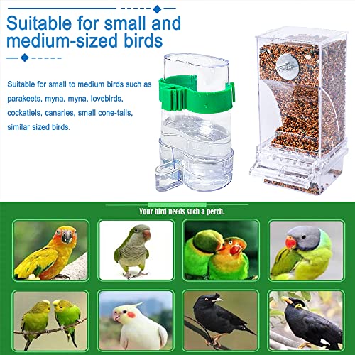 Hamiledyi No Mess Bird Feeders Automatic Parrot Feeder Drinker Acrylic Seed Food Container Parakeet Water Dispenser Cage Accessories for Lovebirds Budgies Canary Finch - color: Translucent + Drinking Bottle