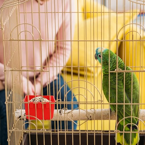 40 Pcs Cage Cups Chicken Feeder Cups 16 oz Hanging Bird Food Water Cups Bunny Cage Feeding Bowl Dish for Pet Parrot Rooster Parakeet Gamefowl Poultry Pigeon Wire Cage(Red) - color: 16oz-Red