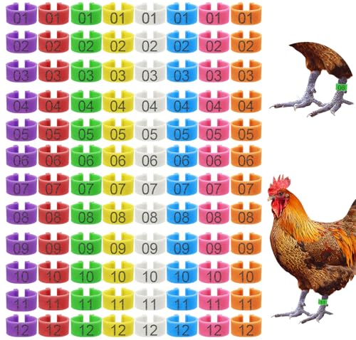Keedolla 8 Color Chicken Leg Rings 96 Pcs, 16mm Colorful Numbered Chicken Identification Leg Bands Clip on Poultry Foot Rings Chicken Ankle Tags for Chicks Duck Bantam Guinea Pigeons Gamefowl - size: 16mm - 8 Colors
