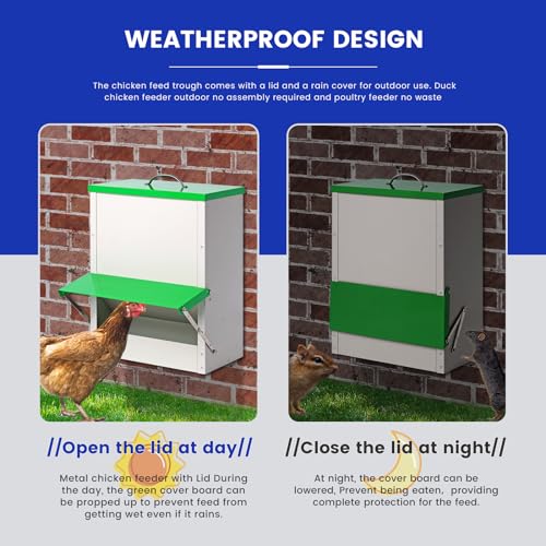 25lb Automatic Chicken Feeders Metal Poultry Feeder no Waste Large Chicken Coop Feeders with Lid Hanging Chicken Feeder Trough for Quail Chickens Ducks Feeder Outside Waterproof Chicken Feeder