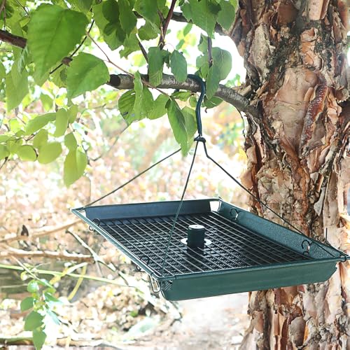 Zenport Z203009 2-in-1 Platform Bird Feeder, Post Mount, Sturdy Metal Weatherproof Construction, Green