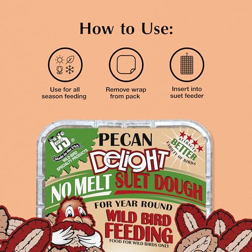 C&S Pecan Delight No Melt Suet Dough, Suet Cakes for Wild Birds Including Nuthatches, Woodpeckers, Chickadees and More, 11.75 Ounces, Pack of 8 - size: 1.47 Ounce (Pack of 8), style: Pecan, 8 Pack