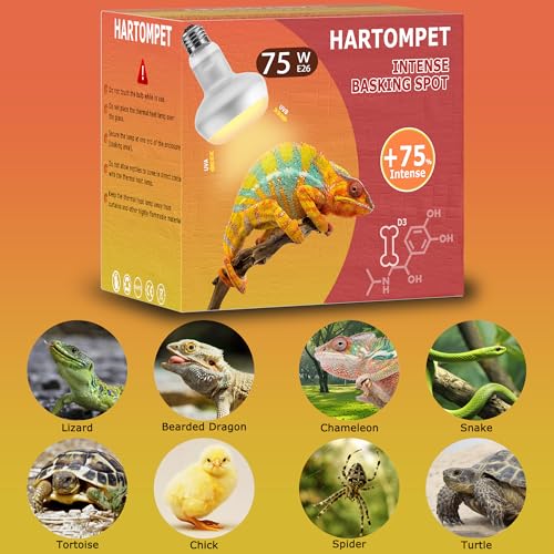 100W High-Output Reptile Basking Spot Lamp, Daylight Heat Bulb | Intense Daylight Heating, Promotes Activity & Digestion for Desert Reptiles, Large Terrariums & Basking Enclosures, E26 Base - color: Intense Basking Spot, size: 100W Upgraded - 3.1"