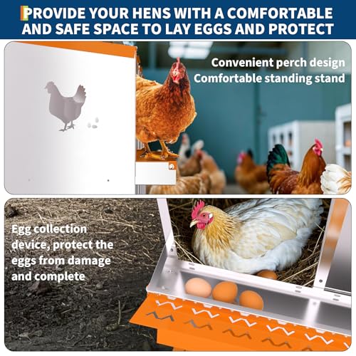 10 Compartment Galvanized Metal Chicken Nesting Box with Support Legs, Easy Install & Clean Roll Out Egg Laying Boxes for Backyard Chicken Coop, Anti-Rust Egg Protection Nest,Orange - color: Orange, size: 10 holes
