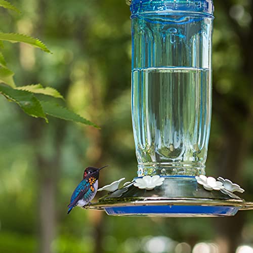Kingsyard Glass Hummingbird Feeder for Outdoors Wild Bird Feeder with 6 Feeding Ports Hanging for Garden Yard, Blue (Ant Moat Included) - color: Blue