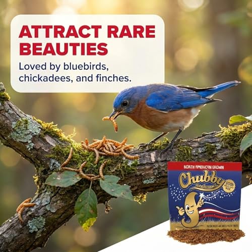 Chubby North American Grown Dried Mealworms | 10 lbs | Non-GMO High-Protein Treats for Chickens, Ducks & Wild Birds – Sustainable Chicken Feed - size: 10Lbs