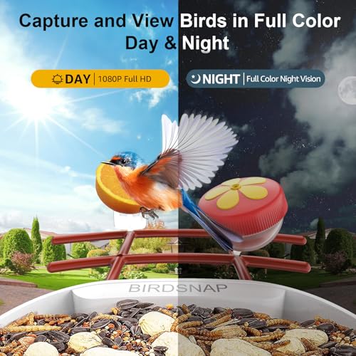 birdsnap® PAV Bird Feeder with Camera Solar Powered 2K Live Video 64GB Card | AI Bird Species Identification, Instant Arrival Alerts, IP65 Waterproof, Wild Bird Feeders for Outdoors, Gift for Bird Lovers - color: Red