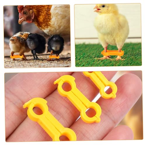 Toddmomy 15pcs Chick Leg Correction Bands PVC Splay Leg Fix for Chicks Quails Ducks Parrots Durable and Reusable for Poultry