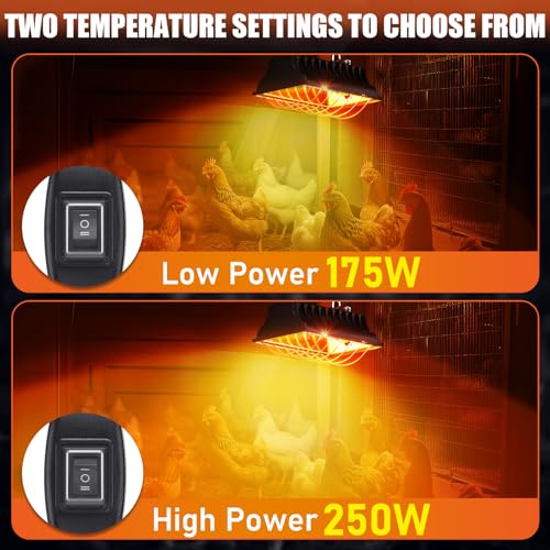 250W Chicken Brooder Heater for Chicks Ducks, Brooder Heater with 2PCS Heat Lamp, 6ft Cord Chicken Brooder Lamp with Adjustable Temp & Height, Chicken Coop Heater for Livestock Indoor Warmer