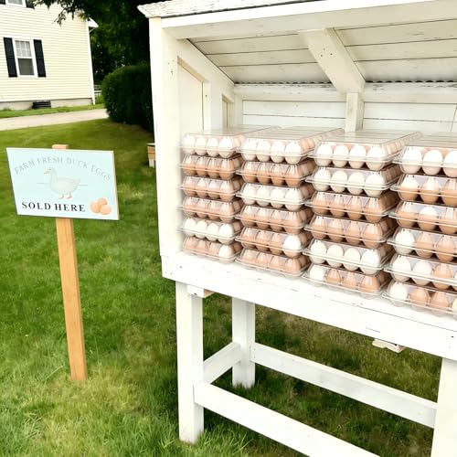 40 Pack Duck Egg Cartons 12 Count Cheap Bulk, Plastic Duck Egg Tray | for Duck & Turkey Eggs, Reusable, Clear, for Family, Small Farm, Backyard Coop & Egg Sellers