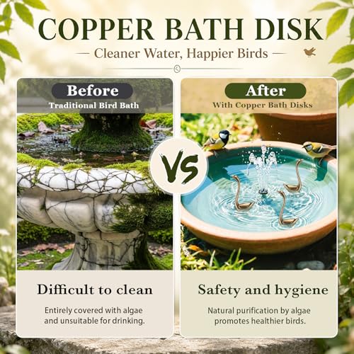 4 Pcs Mini Bird Bath Copper Ornaments Bird Bath Purification Disk Birdbath Cleaner Single 1 oz Weight Universal Fit for Outdoor Birdbaths, Bowl(Goose) - style: Goose