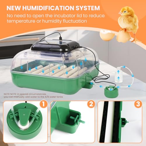 24 Egg Incubator for Hatching Eggs, 360° View Poultry Incubator, Automatic Egg Turning, Temperature & Humidity Display, Auto Water Refilling System, Egg Candler, Multifunctional Egg Tray for Chicken