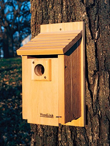 Woodlink BB3 Traditional Bluebird House