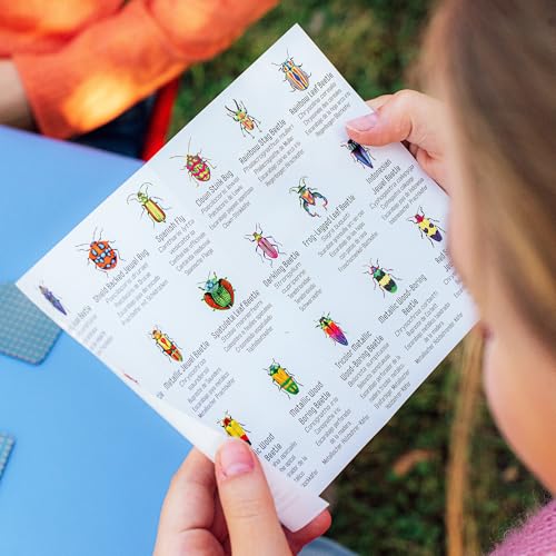 eeBoo Little Beetles Memory & Matching Game, Ages 3+, 1-4 Players | Introduces beetle species & vocabulary. Sharpens recognition, concentration & memory skills. Includes 36 tiles, 18 pairs - style: Beetles