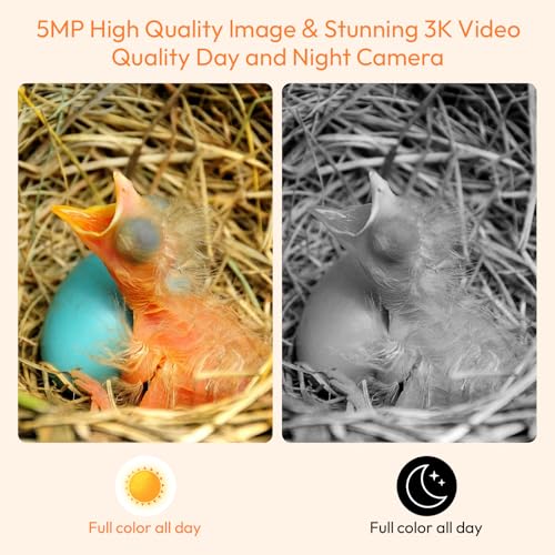 Smart Bird House with Camera – Bamboo Carving, AI Bird Recognition,IP66 Waterproof, Two-Way Audio, App Control,4MP Full-Color Night Vision,Solar-Powered,Cloud & SD Storage (Solar Birdhouse) - color: Woodland Oak, size: Solar Edition