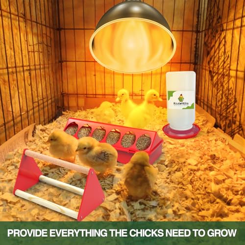 All-in-One Chick Brooder Kit with 75W Adjustable Heat Lamp, Spill-Proof Feeder & Waterer, and Rust-Proof Perch Stand for 5–15 Chicks - color: Red 2