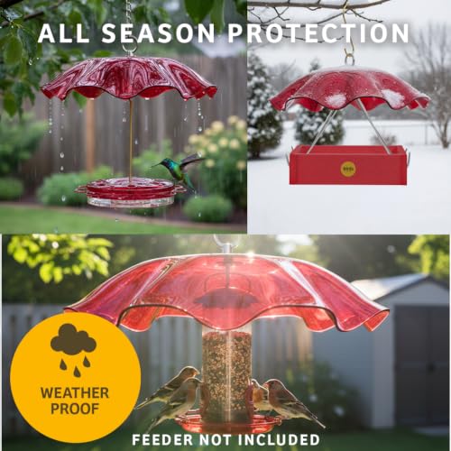 Birds Choice Weatherguard Bird Feeder Dome | 13in Rain Cover | Clear | Polycarbonate Cover for Small Hanging Feeders, Helps Keep Seed Dry, Not a Squirrel Baffle - color: Clear